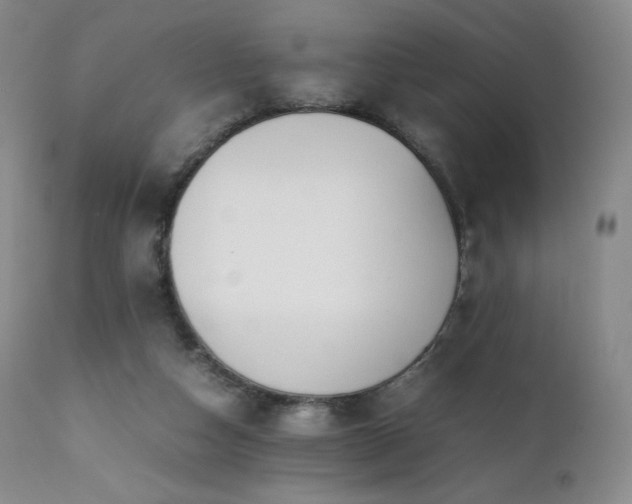 X0000111450162200907131337