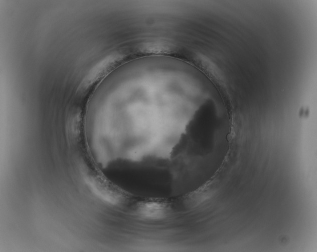 X0000111450163200907131337