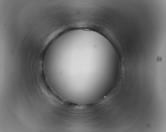 X0000111450164200907131337