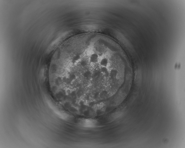 X0000111450165200907131337