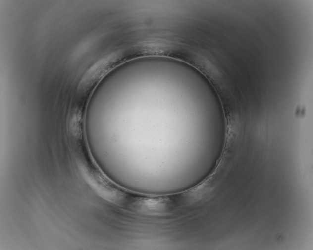 X0000111450166200907131337