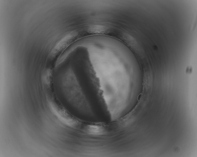 X0000111450167200907131337