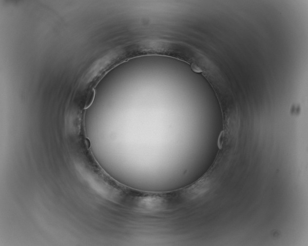 X0000111450168200907131337