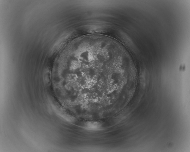 X0000111450169200907131337