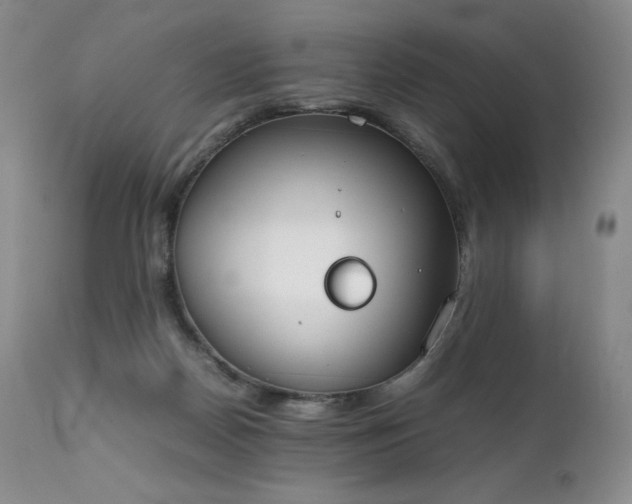 X0000111450170200907131337
