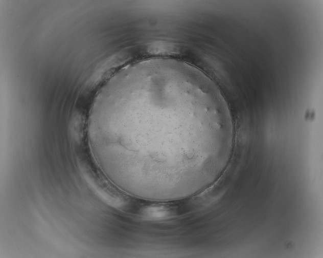 X0000111450171200907131337