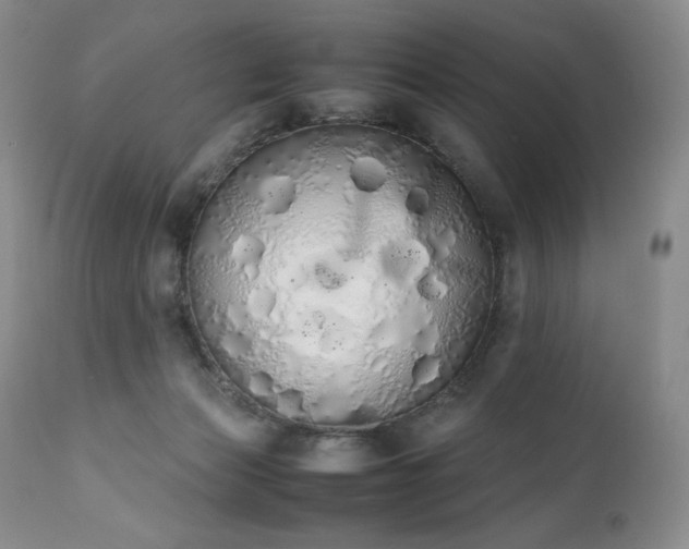 X0000111450173200907131337