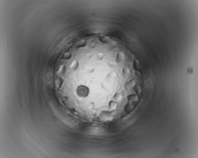 X0000111450175200907131337