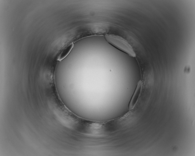 X0000111450176200907131337