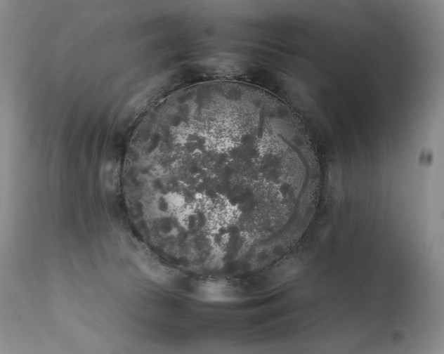 X0000111450177200907131337