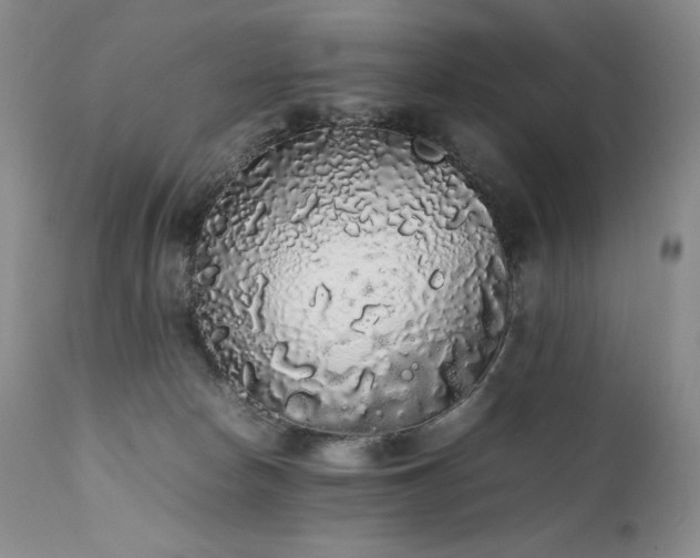 X0000111450178200907131337