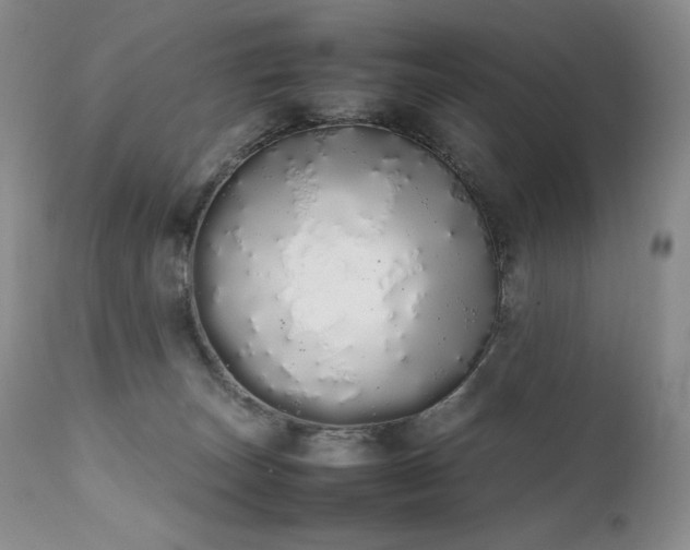 X0000111450179200907131337