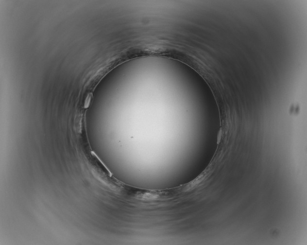 X0000111450180200907131337