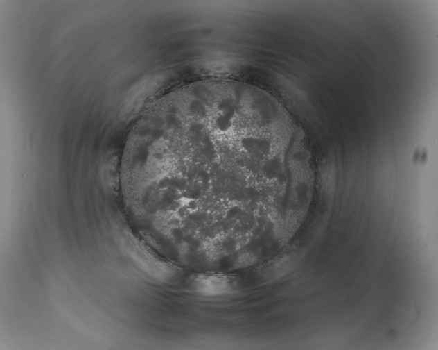 X0000111450181200907131337