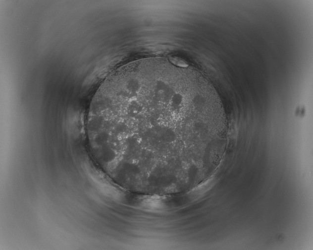 X0000111450182200907131337