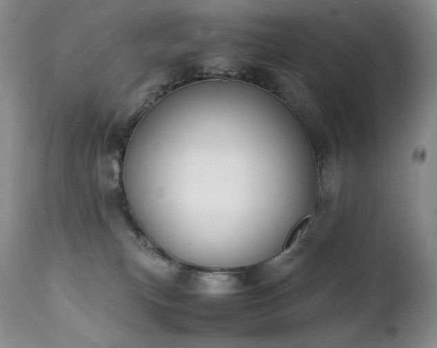 X0000111450183200907131337