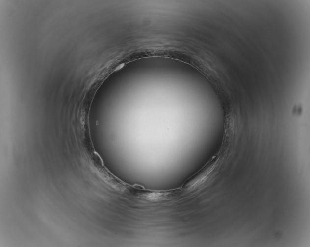 X0000111450184200907131338