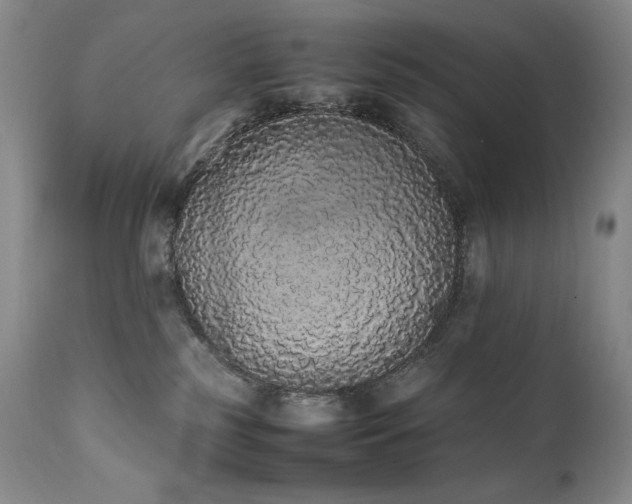 X0000111450185200907131338