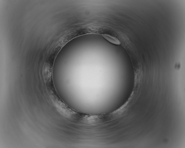 X0000111450186200907131338