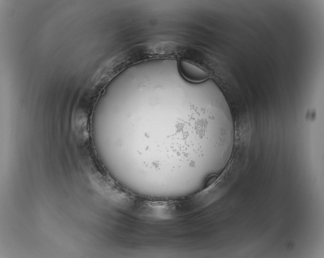 X0000111450187200907131338
