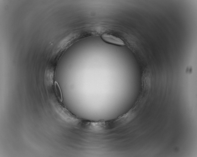 X0000111450188200907131338