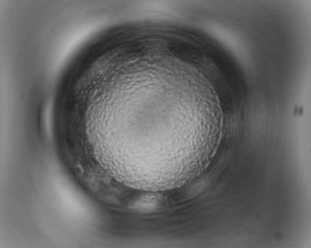 X0000111450189200907131338