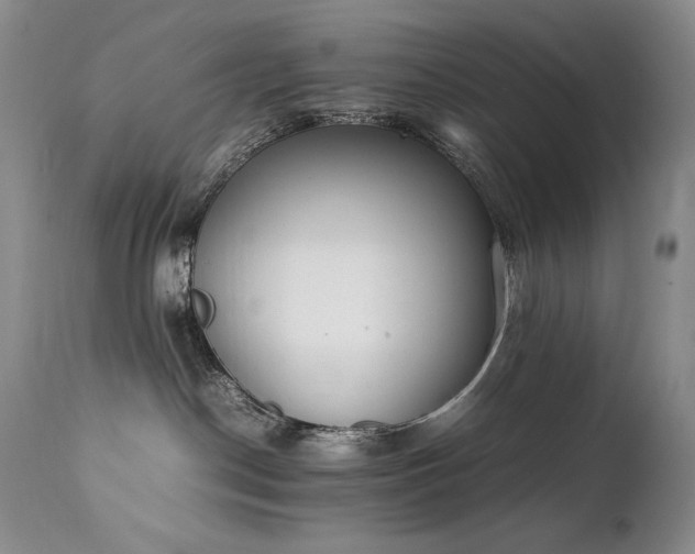 X0000111450190200907131338