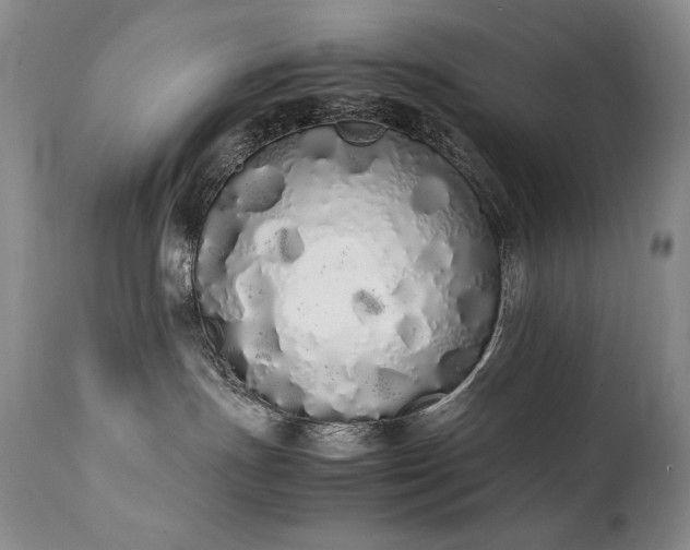 X0000111450191200907131338