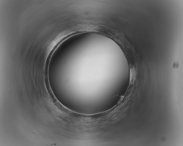 X0000111450195200907131337