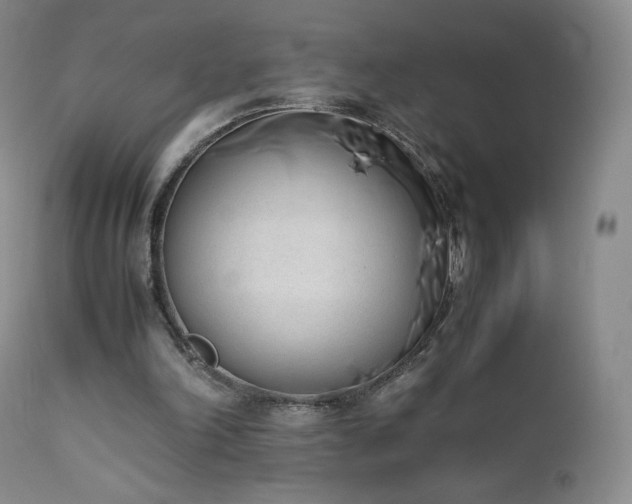 X0000111450198200907131337