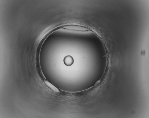 X0000111450199200907131337