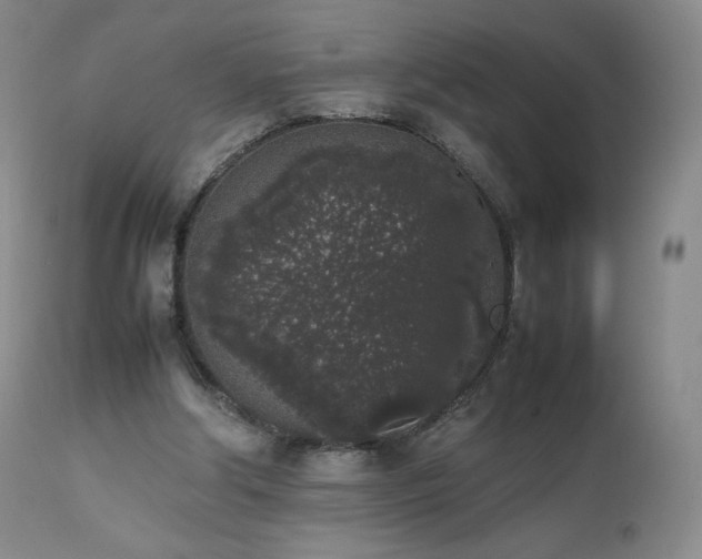X0000111450202200907131337