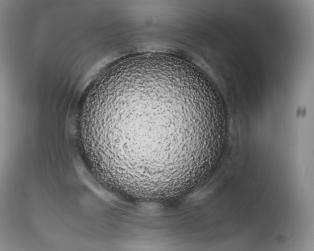 X0000111450203200907131337