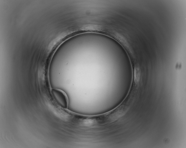 X0000111450204200907131337
