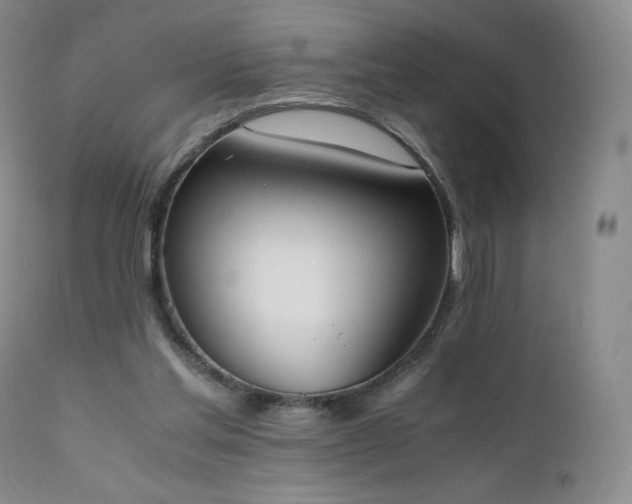 X0000111450205200907131337
