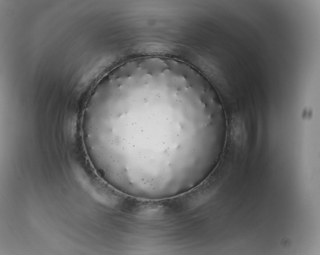 X0000111450206200907131337