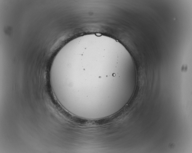 X0000111450207200907131337