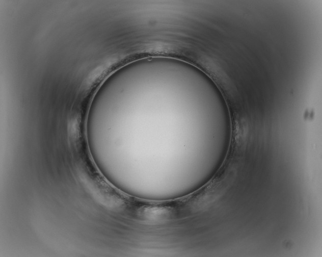 X0000111450208200907131337