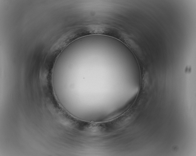 X0000111450209200907131337