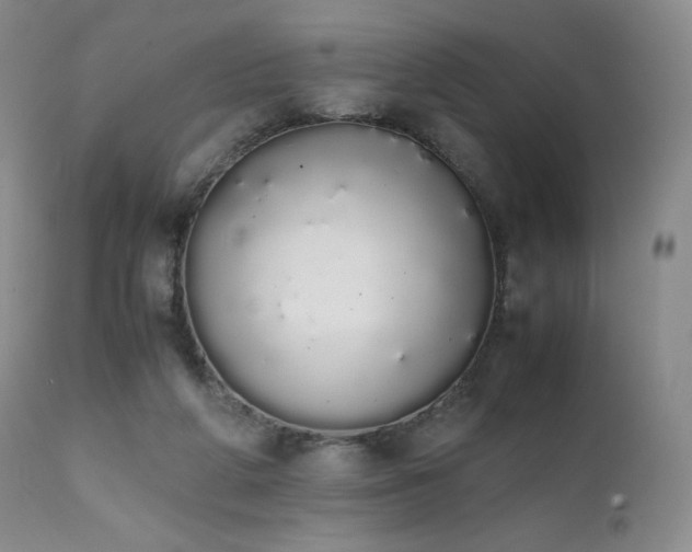X0000111450210200907131337