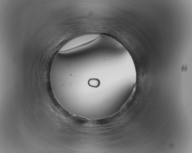 X0000111450211200907131337