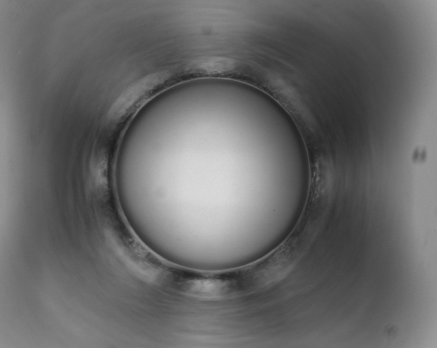 X0000111450212200907131337