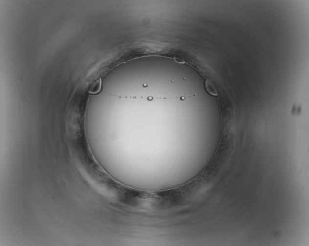 X0000111450215200907131337