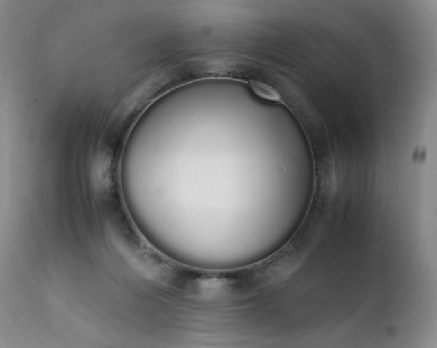 X0000111450216200907131337