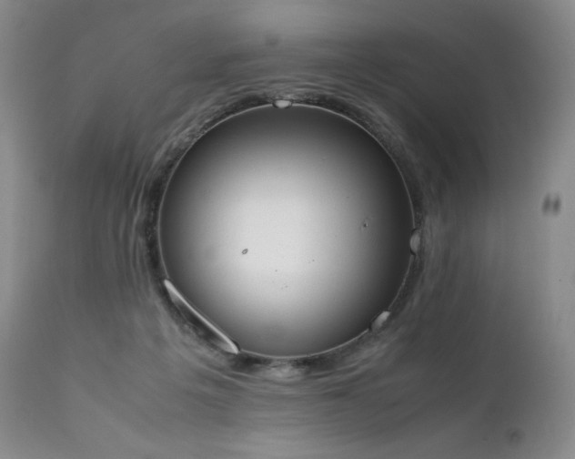 X0000111450217200907131337