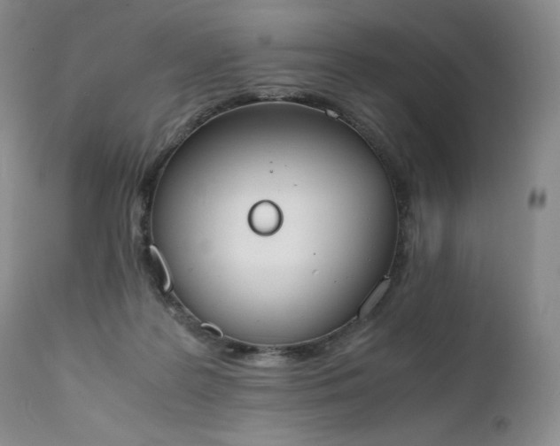 X0000111450219200907131337