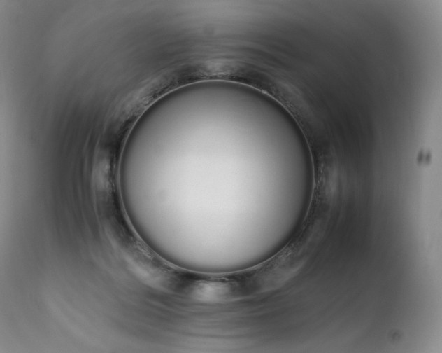 X0000111450220200907131337