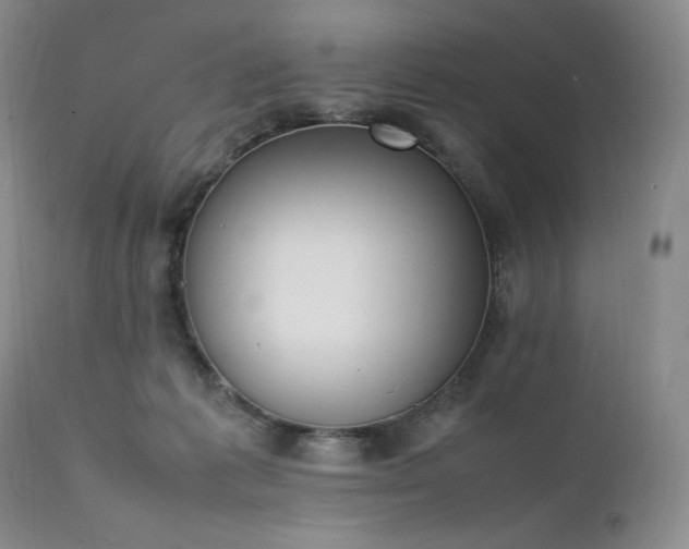 X0000111450221200907131337