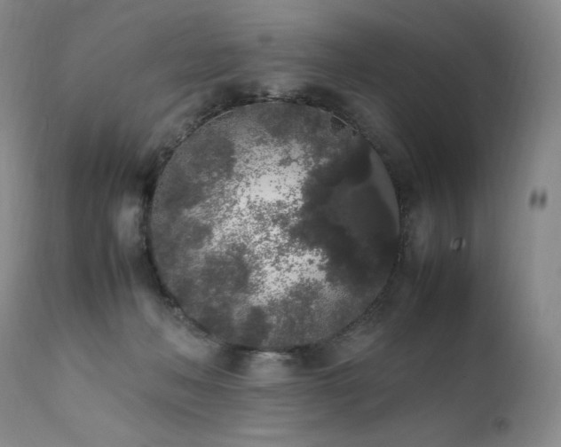 X0000111450222200907131337