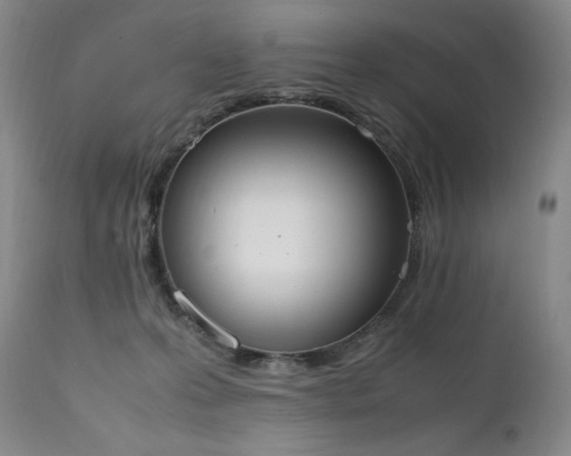 X0000111450223200907131336